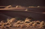 Der Übergang von der Steppe zur Sandwüste